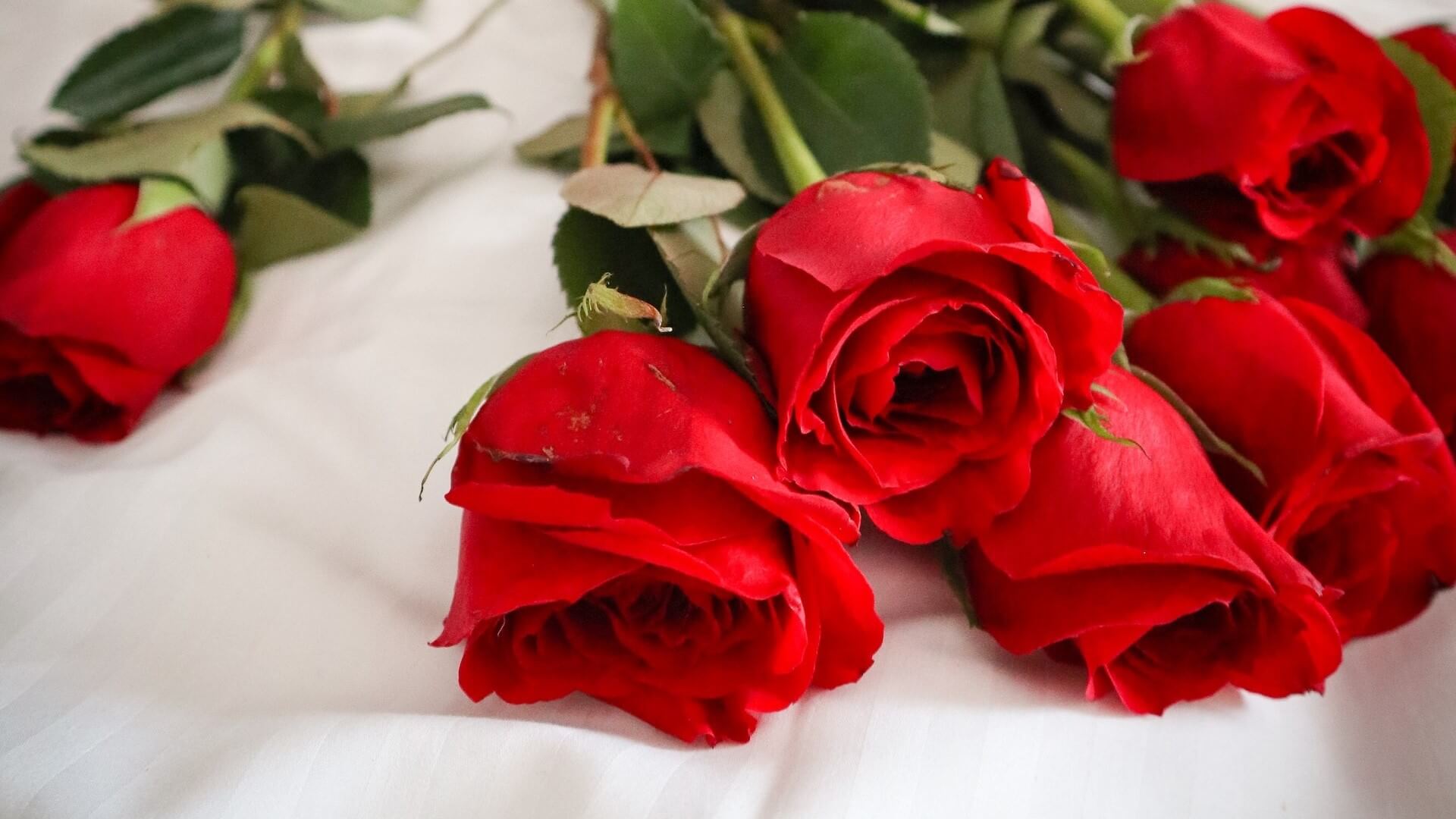 Un lit orné d'une belle composition de roses rouges, créant une atmosphère romantique.